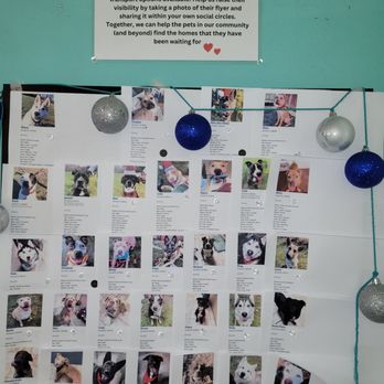 Mutts Coffee - a poster of local adoptables - Coffee Roasteries Near Me - Beaverton, Oregon Mutts Coffee - a poster of local adoptables - Coffee Roasteries Near Me - Beaverton, Oregon
