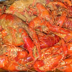 Marina Seafood Kitchen - Crawfish