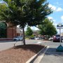 Photo of Ballantyne Commons East