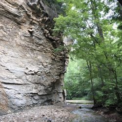 Pine Hills Nature Preserve