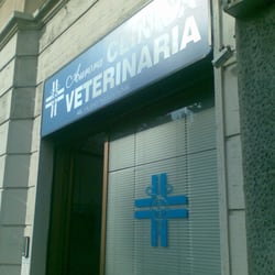 Clinica Veterinaria Aurora