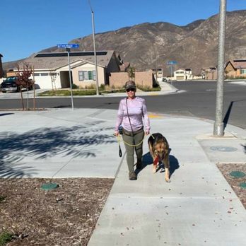 Pooey Hooey - Katie with Jasper - Dog Walkers Near Me Pooey Hooey - Katie with Jasper - Dog Walkers Near Me