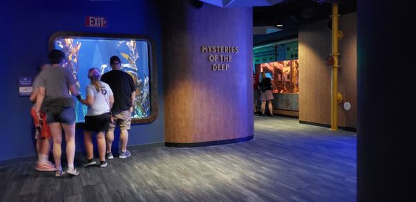 St. Louis Aquarium at Union Station by null