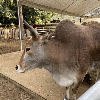 ​Happi Farm - Community Service/Non-Profit Near Me - Davie, Florida