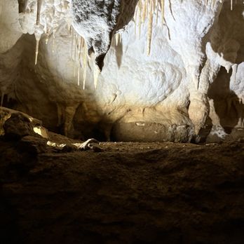 Ruakuri Cave - Tours Near Me - Hamilton, WKO Ruakuri Cave - Tours Near Me - Hamilton, WKO