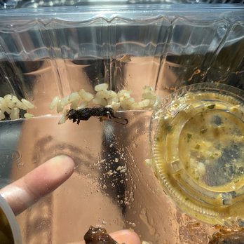Fresh Kitchen - What the fuck is in this photo !?!? - New American Near Me - Tampa, Florida Fresh Kitchen - What the fuck is in this photo !?!? - New American Near Me - Tampa, Florida
