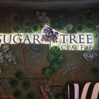 Sugar Tree Cafe - This place is so cute and cozy.  It's very much giving Modern day Friends vibes. - Cafes Near Me - Nutley, New Jersey