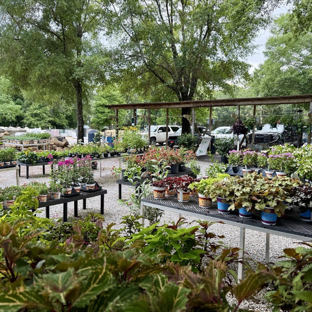 Pinelands Nursery - Plants - tons o plants - Nurseries & Gardening Near Me - Milton, Florida