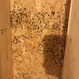 Mold