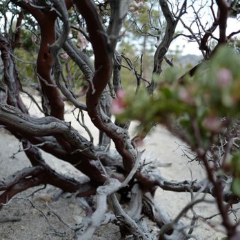 crab flats campground