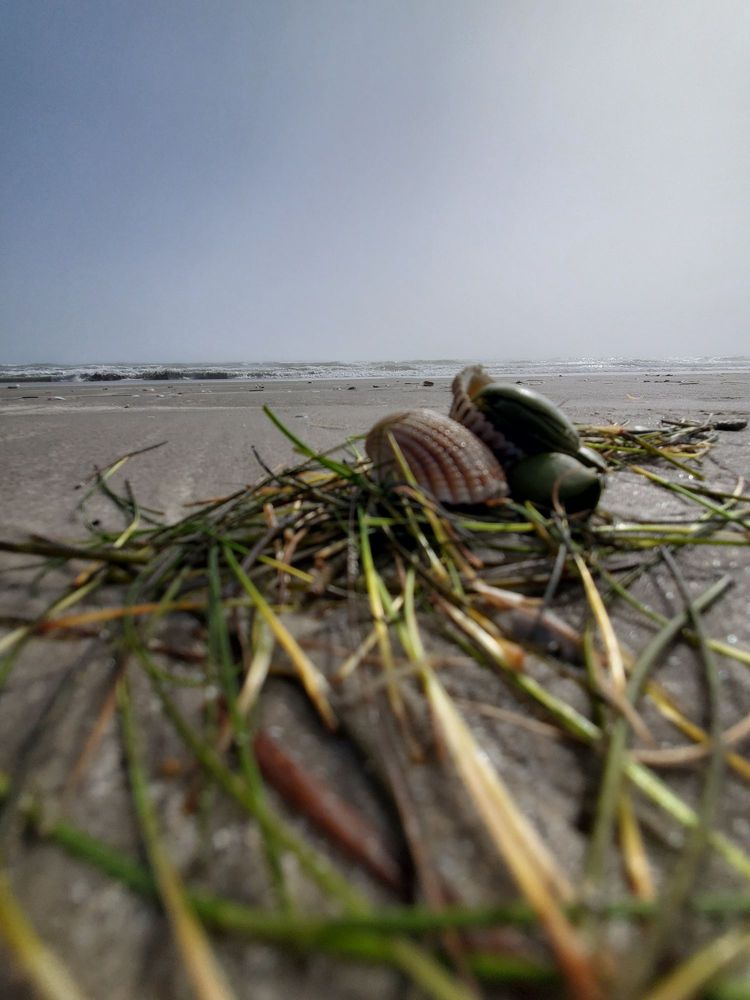 WHITECAP BEACH 137 Photos & 33 Reviews 14618 S Padre Island Dr