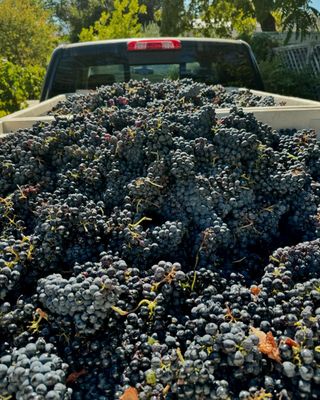 Charter Oak Winery by null