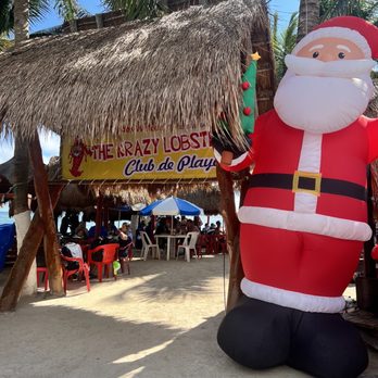 The Krazy Lobster - Seafood Near Me - Mahahual, ROO The Krazy Lobster - Seafood Near Me - Mahahual, ROO
