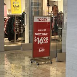 Lane Bryant