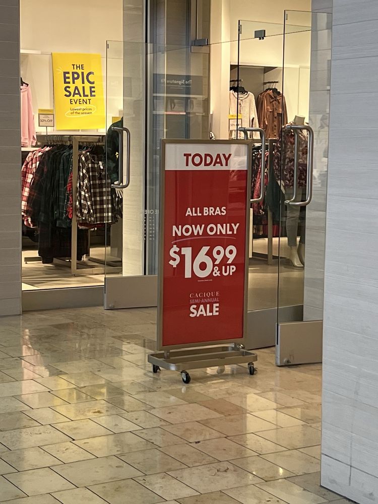 Lane Bryant Logo