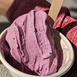 Welly’s Real Fruit Ice Cream - Mixed berry