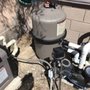 Photo of Clear Pool Rescue & Care
