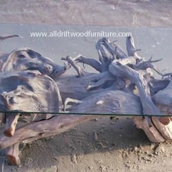 All Driftwood Furniture - A driftwood coffee table brings elegance to your home. A cedar driftwood coffee table is perfect for beach decor.
