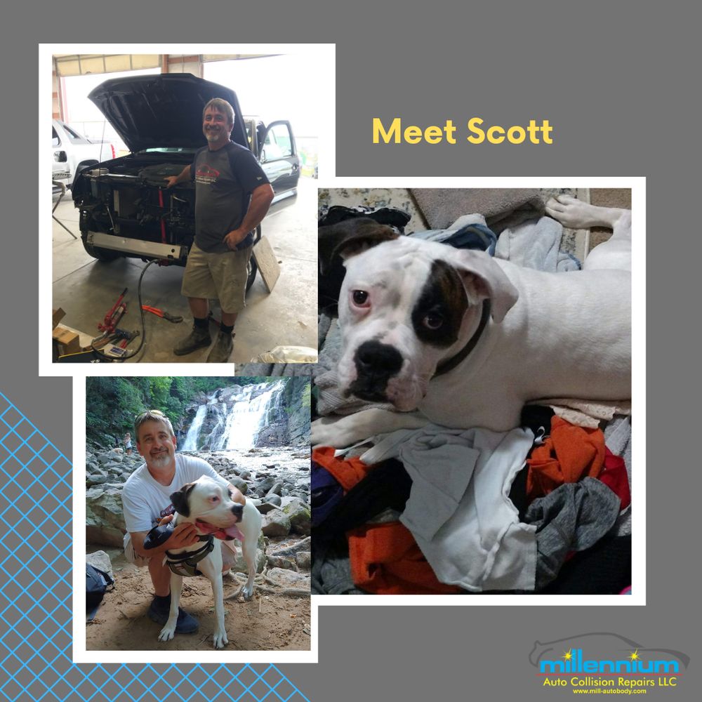 MILLENNIUM AUTO COLLISION 14 Photos 2005 Brookside Ln, Kingsport