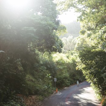 Waimea Valley - walkway - Venues & Event Spaces Near Me - Haleiwa, Hawaii Waimea Valley - walkway - Venues & Event Spaces Near Me - Haleiwa, Hawaii
