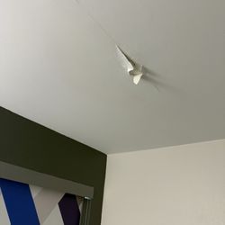 Quality Inn Prattville I-65 - Peeling paint in our bedroom.
