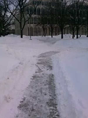 Wayne State University by null