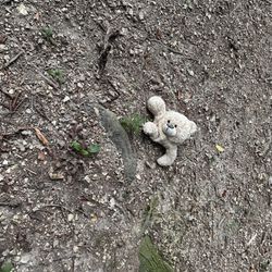 Eureka Springs Bark Park - 7.23.2025... poor pup, lost their stuffy