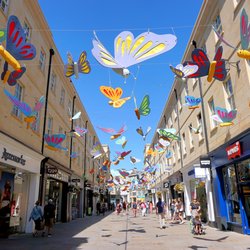 SouthGate - Butterfly Installation.