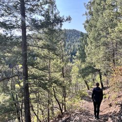 Switch Back Trail