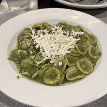 Roma - Orecchiette - Italian Near Me - Houston, Texas Roma - Orecchiette - Italian Near Me - Houston, Texas