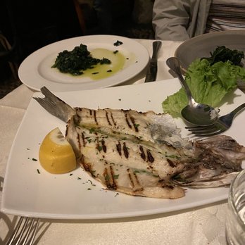 Osteria Fara - Fish of the day. - Wine Bars Near Me - Milan, Michigan Osteria Fara - Fish of the day. - Wine Bars Near Me - Milan, Michigan