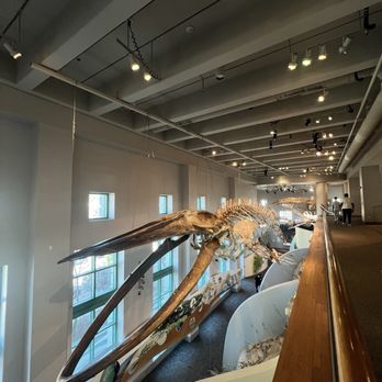 NORTH CAROLINA MUSEUM OF NATURAL SCIENCES - Updated October 2025 - 1609 ...