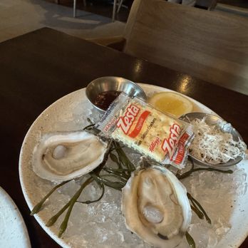 Bludorn - Raw Oysters - New American Near Me - Houston, Texas