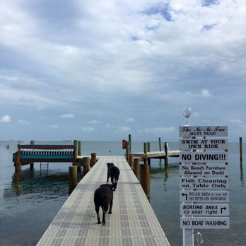 White Gate Court Resort - A dog's day at the White Gate Court Resort - Hotels Near Me - Islamorada, Florida White Gate Court Resort - A dog's day at the White Gate Court Resort - Hotels Near Me - Islamorada, Florida