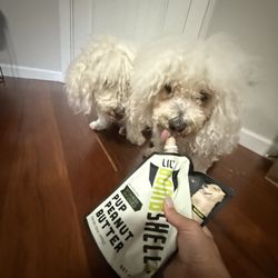 Lil Bombshell - Lil Bombshell Pup Peanut Butter