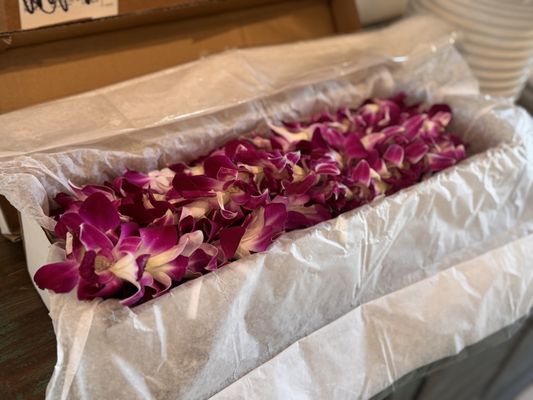 Aloha Island Lei and Floral by null