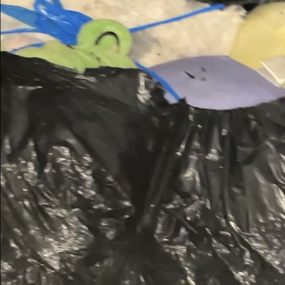 Extra Space Storage - sentimental stuffed animals covered in rat feces and urine - Self Storage Near Me - Chicago, Illinois