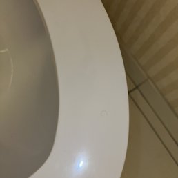 Pubic hair from previous guest on toilet seat Pubic hair from previous guest on toilet seat