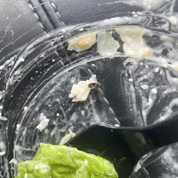 Wendy's - lettuce being washed in a bowl - Burgers Near Me - Shelbyville, Tennessee Wendy's - lettuce being washed in a bowl - Burgers Near Me - Shelbyville, Tennessee