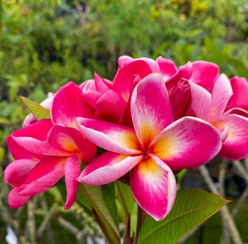 DALE HARDWARE 333 Photos & 480 Reviews 3700 Thornton Ave, Fremont, California Hardware