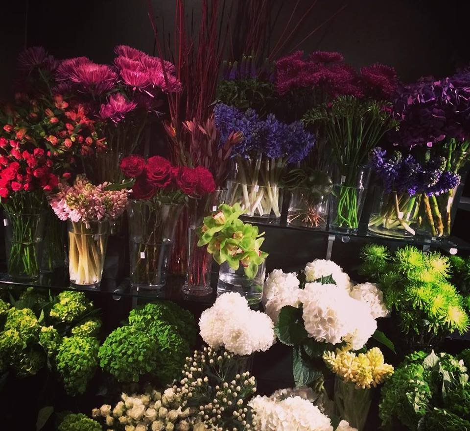 TERRAIN FLOWERS Updated October 2024 2847 Dufferin Street, Toronto