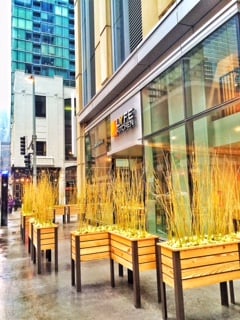 LYFE Kitchen by null