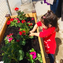 Nature's Edge Child Development Center