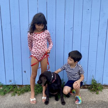 Balanced Obedience - Pet Training Near Me - Honolulu, Hawaii Balanced Obedience - Pet Training Near Me - Honolulu, Hawaii