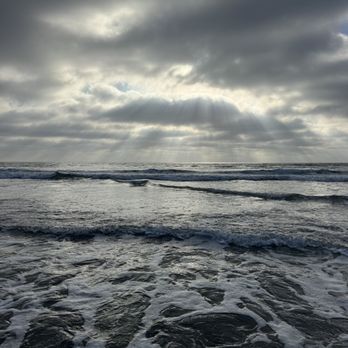 Torrey Pines State Reserve - Parks Near Me - La Jolla, California