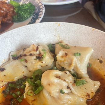 Trendy Dumpling - Hot Spicy Dumpling - Noodles Near Me - Houston, Texas Trendy Dumpling - Hot Spicy Dumpling - Noodles Near Me - Houston, Texas