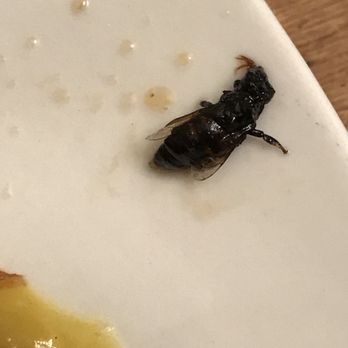 Chinatown - Honey bee that was cooked in with the broccoli. - Chinese Near Me - Marion, Arkansas