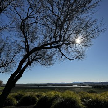 The Donum Estate - Wineries Near Me - Sonoma, California The Donum Estate - Wineries Near Me - Sonoma, California