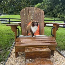 Wantage Dog Park