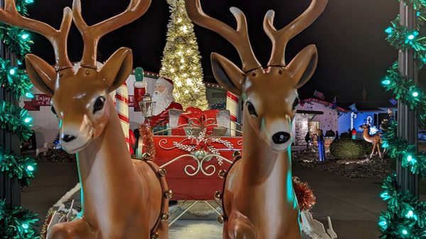 Bronner's Christmas Wonderland by null